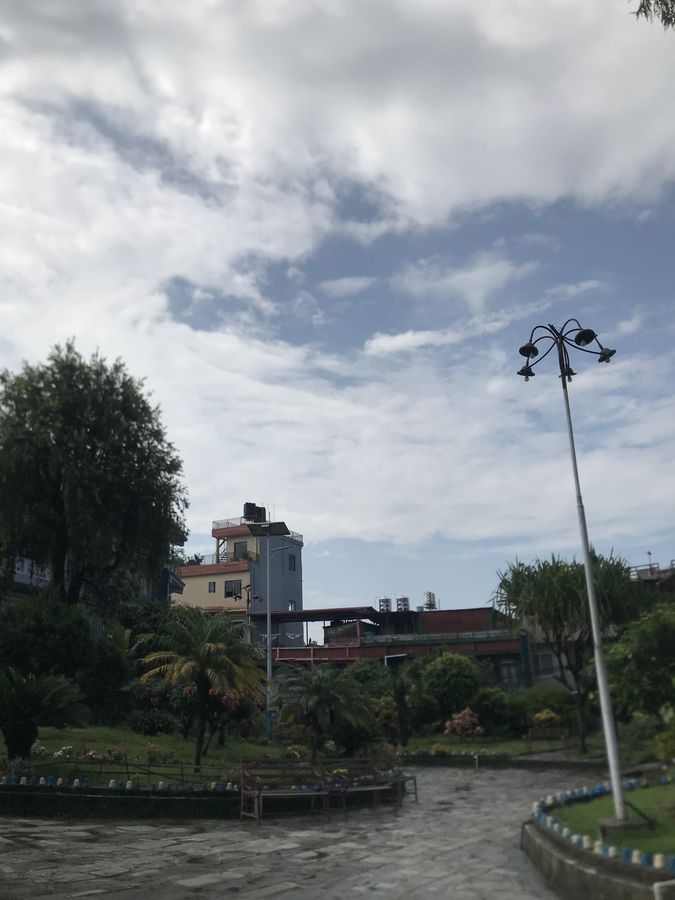 Landscaped garden path with palms and a lamp post under a cloudy sky